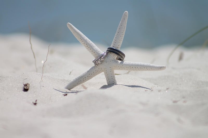 Beach Vows